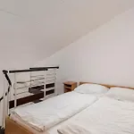 Rona Volta פורץ