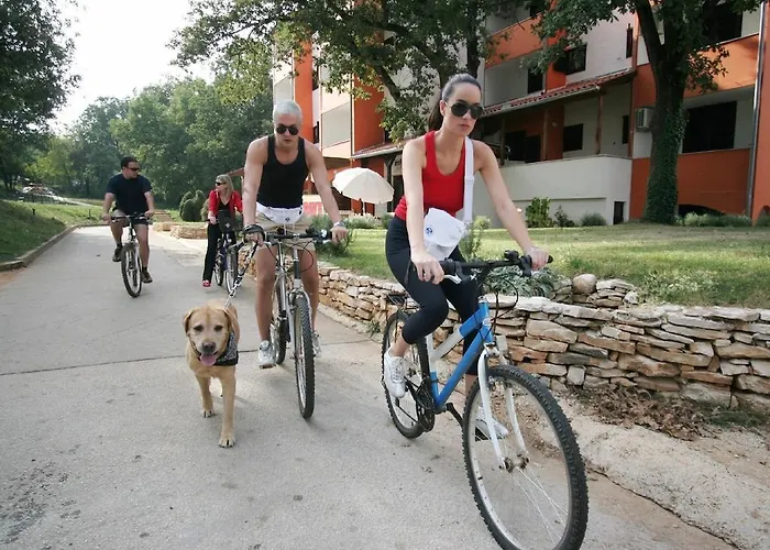 Apartamento Rona Volta