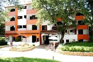 Rona Volta * بوريتش